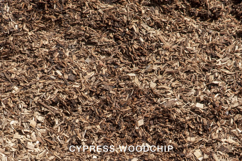 Cypress Woodchip