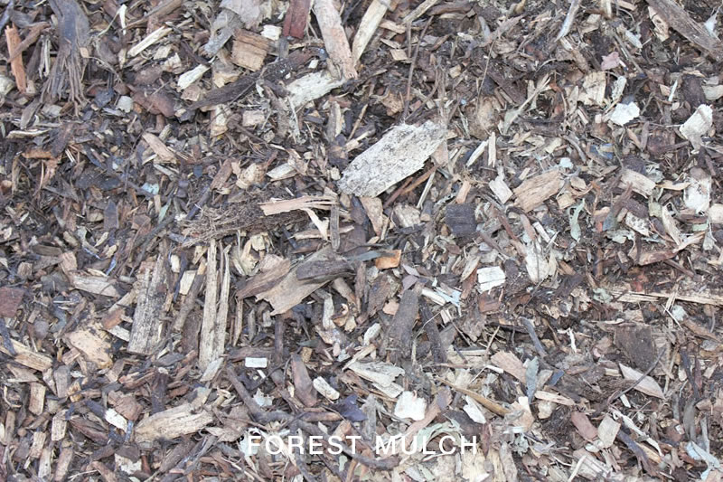 Forest Mulch