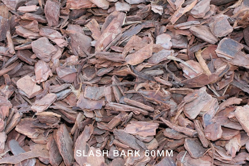 Slash Bark 50mm